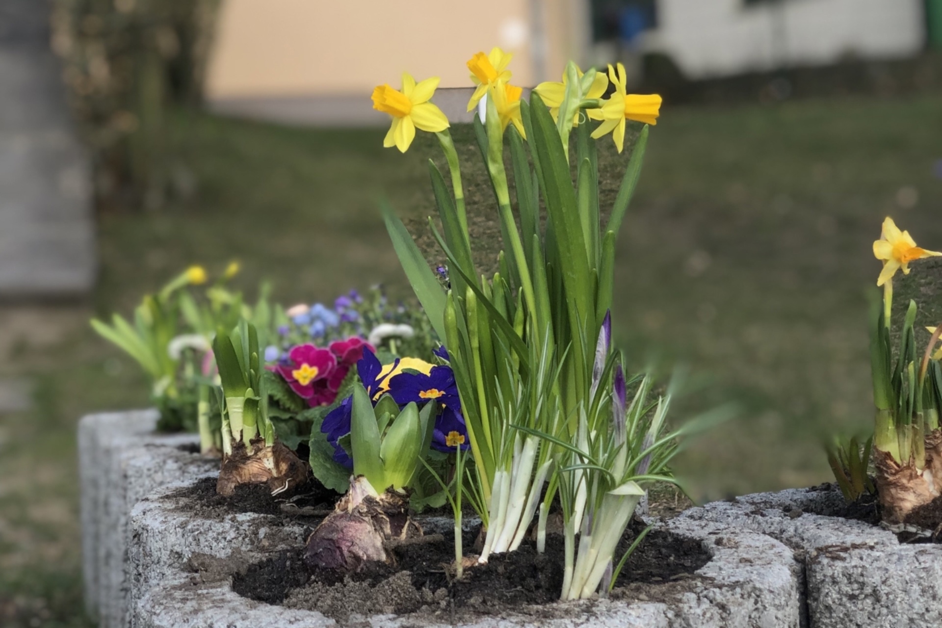 Grundschule "Am Beetzsee" Radewege