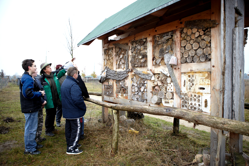 Schülerinnen und Schüler vor einem Insektenhotel