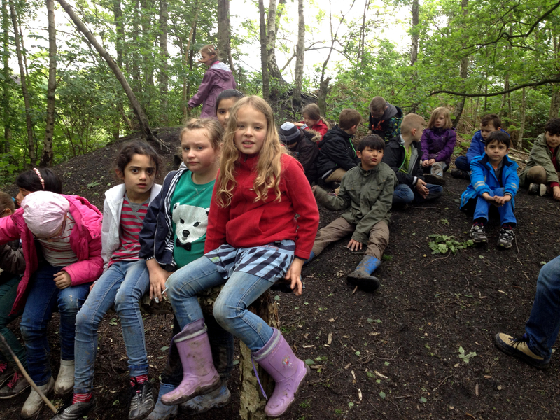 Rast im Rheinelbewald