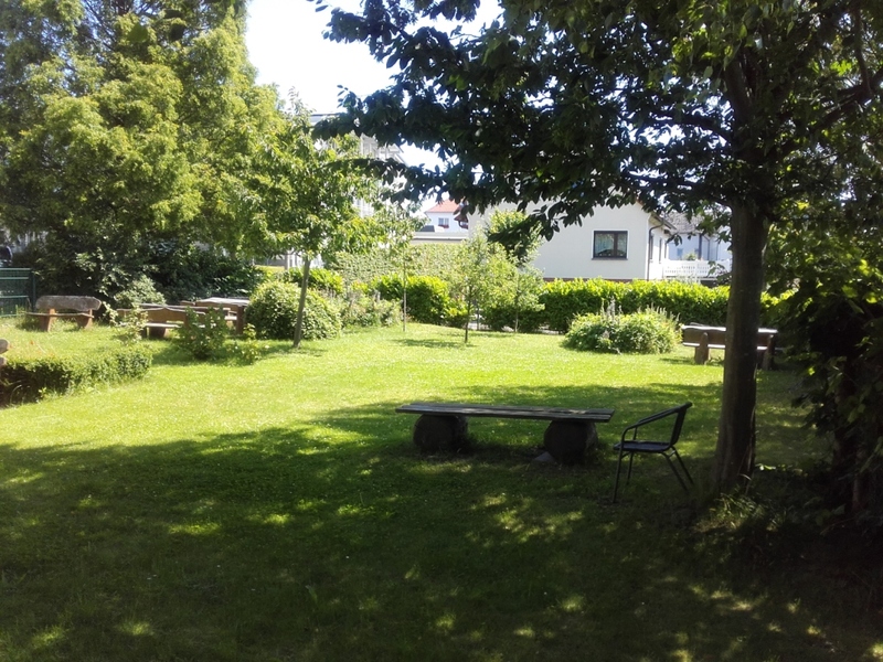 Umwelt und Wald