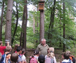 Schülerinnen und Schüler beim Spaziergang mit einem Förster im Wald