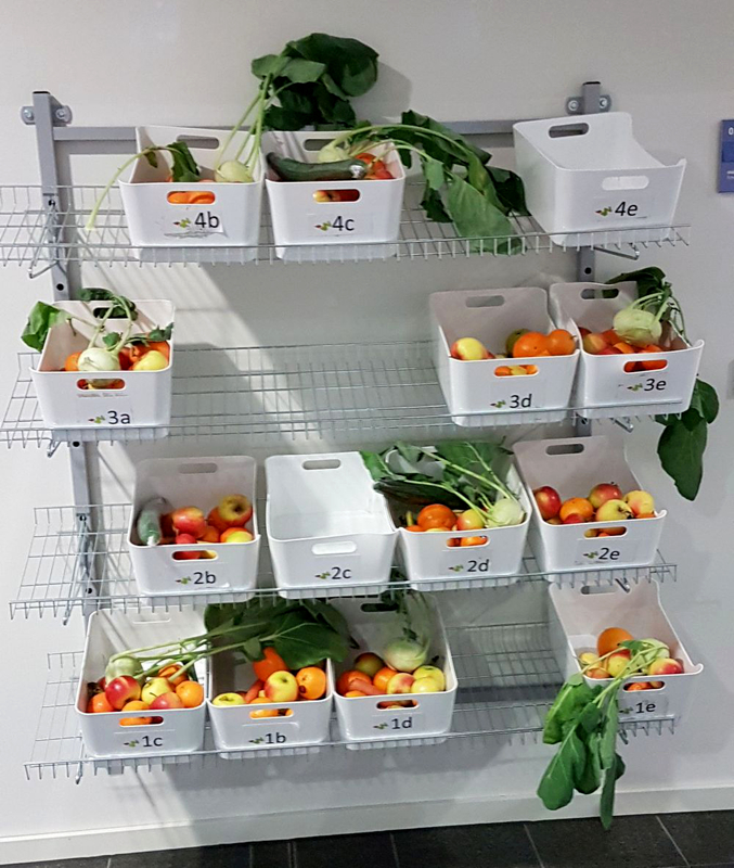 Regal mit frischem Obst und Gemüse