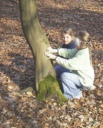 Zwei Mädchen betasten einen Baum