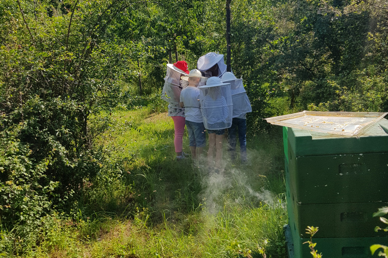 Bienen