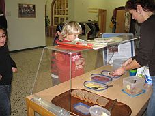 Schüler steht an einer Essensausgabe