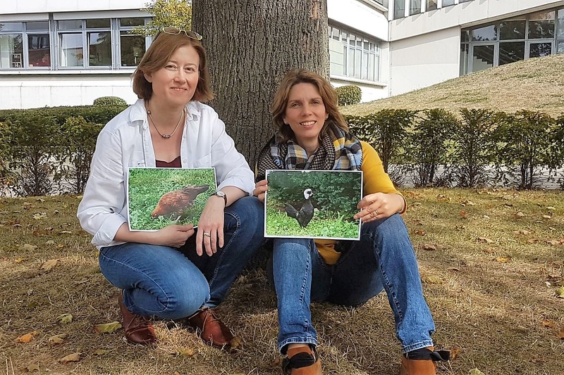 Susanne Pauls und Diane Satow zeigen Fotos von den Hühnern der Grundschule Barnten