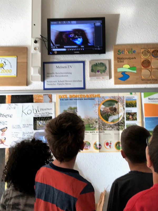 Schüler sehen "Meisen-TV" auf einem Bildschirm