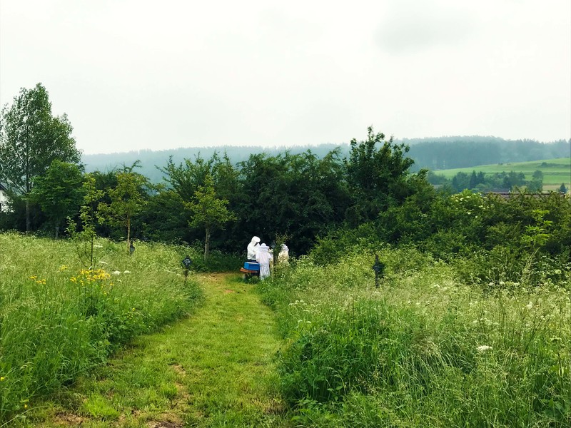 Schüler als Imker vor einem Bienenstock