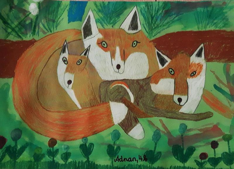 Fuchs