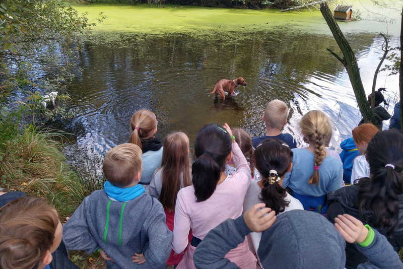 Schülerinnen und Schüler am See