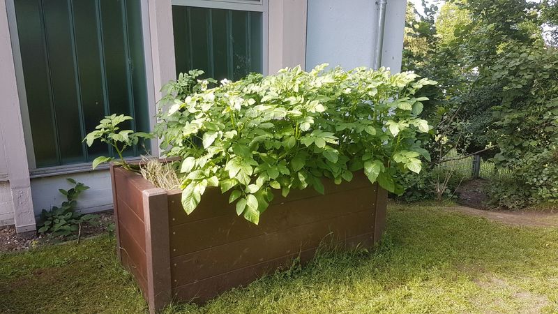 Beetkasten